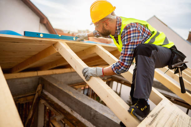 Best New Roof Installation  in Black Hammock, FL