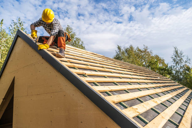 Best Gutter Installation and Roofing  in Black Hammock, FL