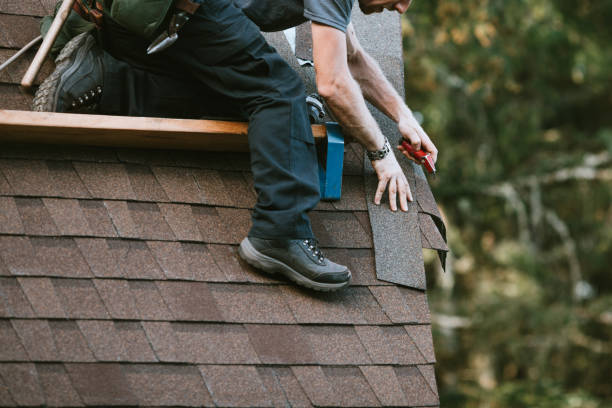 Best Roof Waterproofing Services  in Black Hammock, FL